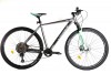 Crosser 29*Solo*19-21 (1*12) DEORE