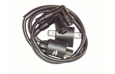 V250-R1/V250R-1(NK) - катушка зажигания