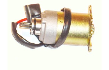 стартер (1 шт./уп.)