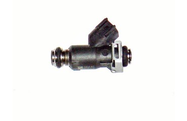 ZS250GY-3 - форсунка